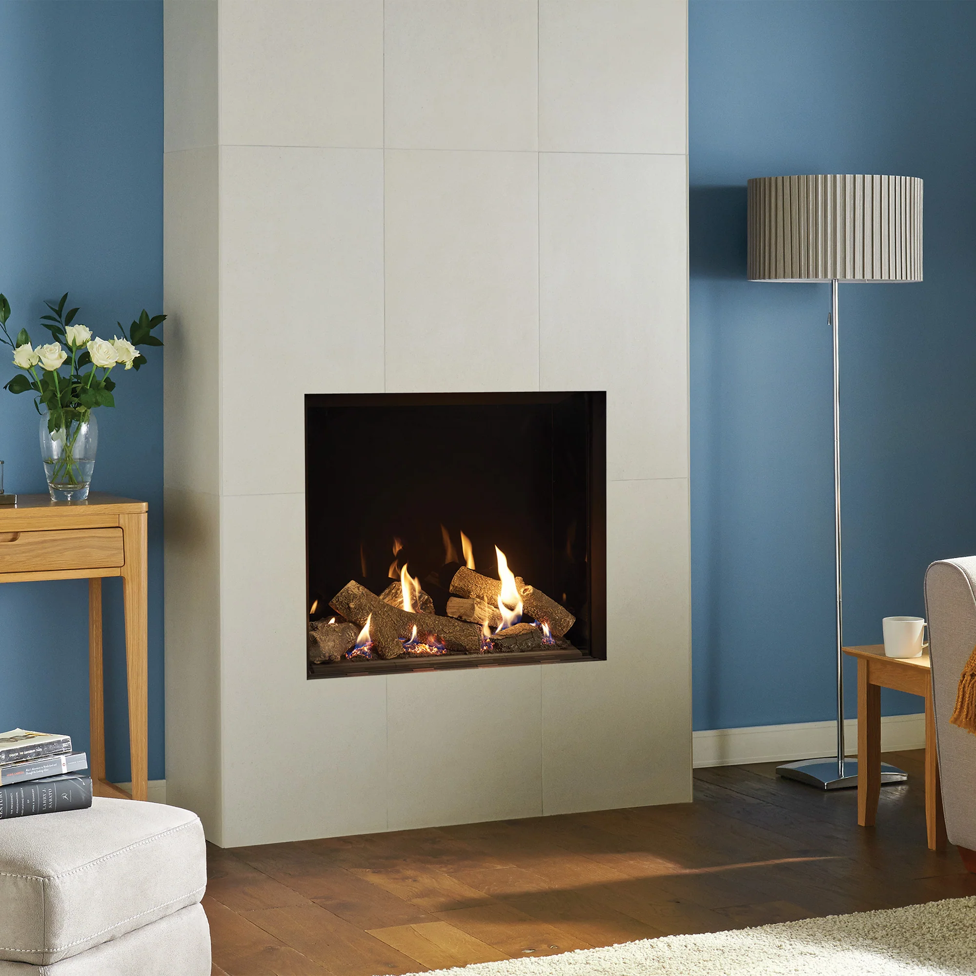 Gas Fires and Stoves
