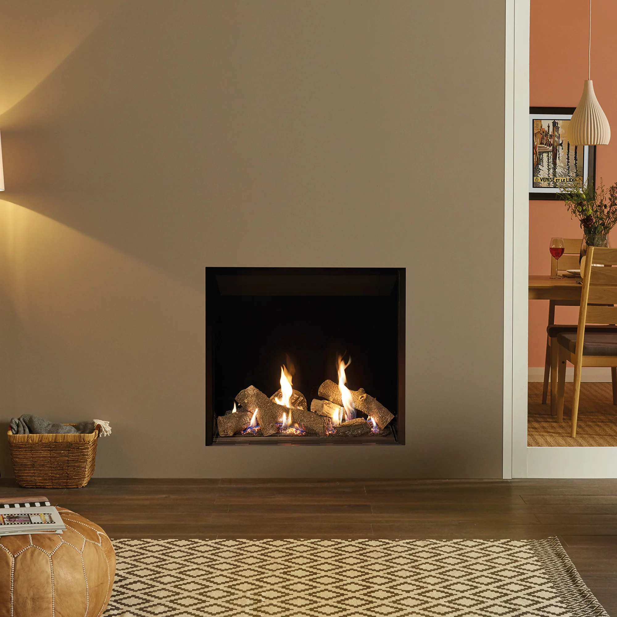 Conventional Flue Gas Fires and Stoves